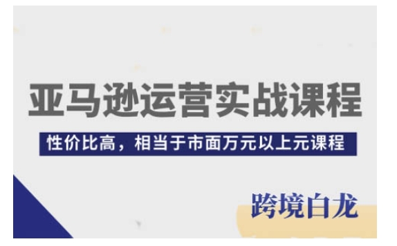 亚马逊运营实战课程，亚马逊从入门到精通，性价比高，相当于市面万元以上元课程 - 小毅网创-小毅网创