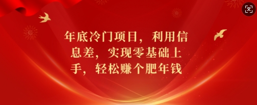 年底冷门项目，利用信息差，实现零基础上手，轻松赚个肥年钱【揭秘】 - 小毅网创-小毅网创