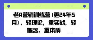 老A营销训练营(更24年12月)，轻理论，重实战，轻概念，重本质-小毅网创