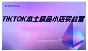 TikTok本土精品小店出海实战营，从入门到高阶，不止0-1!-小毅网创