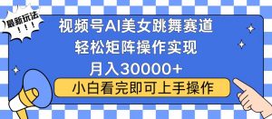 视频号蓝海赛道玩法，当天起号，拉爆流量收益，小白也能轻松月入30000+-小毅网创