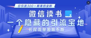 微信读书，一个隐藏的引流宝地，不为人知的小众打法，日引流300+精准创业粉，长尾流量源源不断-小毅网创