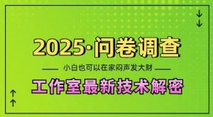 2025问卷调查最新工作室技术解密：一个人在家也可以闷声发大财，小白一天2张，可矩阵放大【揭秘】-小毅网创
