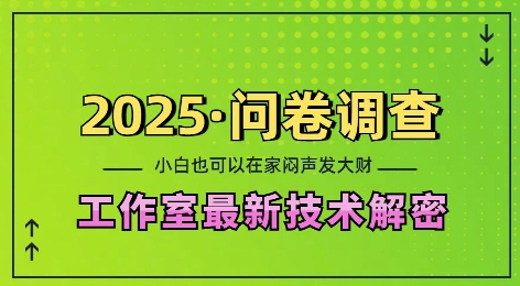 2025问卷调查最新工作室技术解密：一个人在家也可以闷声发大财，小白一天2张，可矩阵放大【揭秘】 - 小毅网创-小毅网创
