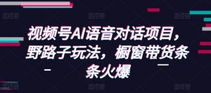 视频号AI语音对话项目，野路子玩法，橱窗带货条条火爆-小毅网创