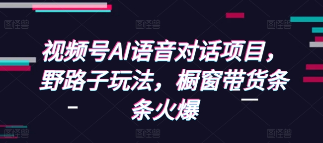 视频号AI语音对话项目，野路子玩法，橱窗带货条条火爆 - 小毅网创-小毅网创