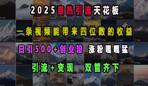 2025自热引流天花板，一条视频能带来四位数的收益，引流+变现双管齐下，日引500+创业粉，涨粉嘎嘎猛 - 小毅网创-小毅网创