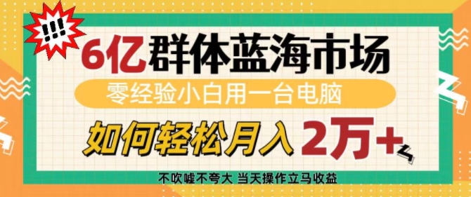 6亿群体蓝海市场，零经验小白用一台电脑，如何轻松月入过w【揭秘】 - 小毅网创-小毅网创