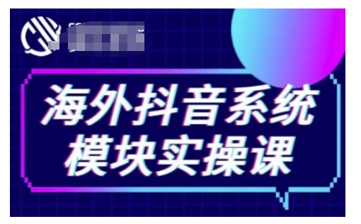 海外抖音Tiktok系统模块实操课，TK短视频带货，TK直播带货，TK小店端实操等 - 小毅网创-小毅网创