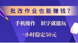 批改作业也能赚钱？0门槛手机项目，识字就能玩！一小时50元！-小毅网创