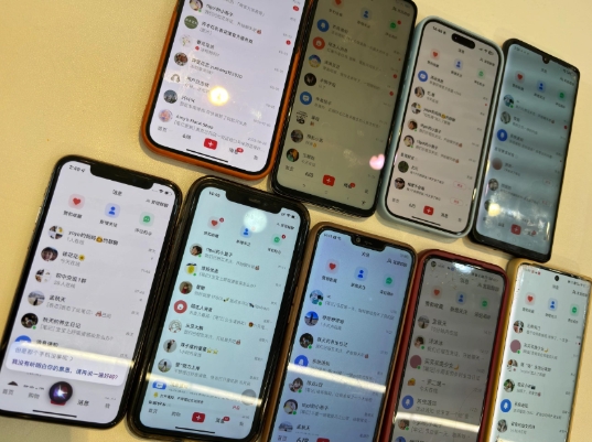 首发揭秘小红书私域日引500+创业粉四大模板,月入过W+全程干货!没有废话!保姆教程! - 小毅网创-小毅网创