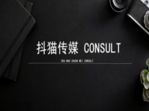 抖猫学院小红书聚光详细操作流程实操-小毅网创