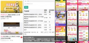 美团神券/神会员_入门级教程，外卖券膨胀推广项目【蓝海市场攻略】-小毅网创