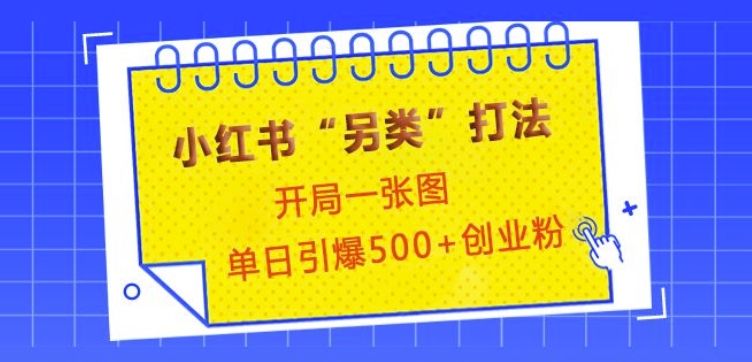 小红书“另类”打法,开局一张图,单日引爆500+精准创业粉【揭秘】 - 小毅网创-小毅网创
