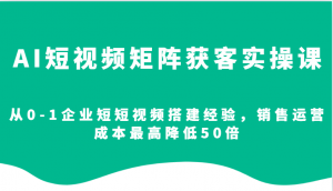 AI短视频矩阵获客实操课，从0-1企业短短视频搭建经验，销售运营成本最高降低50倍-小毅网创