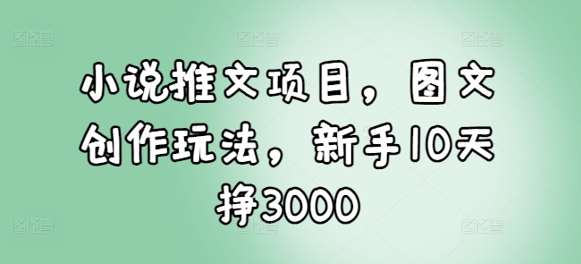 小说推文项目，图文创作玩法，新手10天挣3000 - 小毅网创-小毅网创
