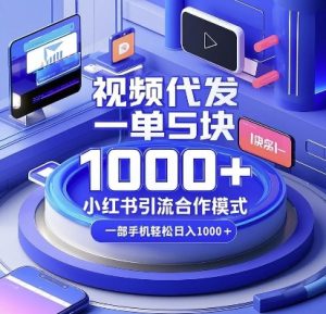 视频代发，一单5块，小红书引流合作模式，一部手机轻松日入多张【揭秘】-小毅网创