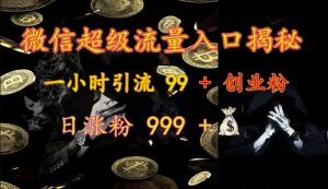 微信超级流量入口揭秘：一小时引流 99 + 创业粉，日涨粉 999 +-小毅网创