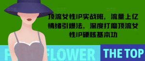 顶流女性IP实战班，流量上亿情绪引爆法，深度打磨顶流女性IP硬核基本功-小毅网创