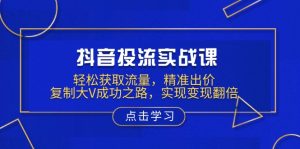 抖音投流实战课，轻松获取流量，精准出价，复制大V成功之路，实现变现翻倍-小毅网创