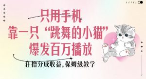 只用手机靠一只“跳舞的小猫”爆发百万播放，狂撸分成收益，保姆级教学-小毅网创