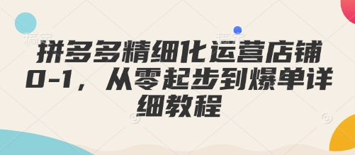 拼多多精细化运营店铺0-1，从零起步到爆单详细教程 - 小毅网创-小毅网创