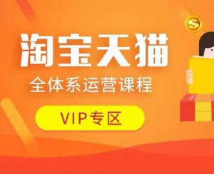 淘宝天猫全体系运营课程：店铺全系运营、动销玩法、付费推广、流量提升、擦边球玩法等等-小毅网创