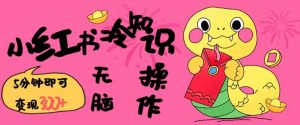 小红书冷知识账号，无脑复制粘贴，5分钟即可变现3张-小毅网创