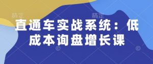 直通车实战系统:低成本询盘增长课,让个人通过技能实现升职加薪,让企业低成本获客,订单源源不断-小毅网创