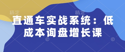 直通车实战系统:低成本询盘增长课,让个人通过技能实现升职加薪,让企业低成本获客,订单源源不断 - 小毅网创-小毅网创