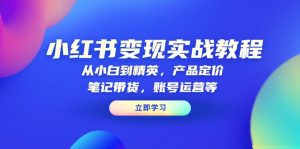 小红书变现实战教程：从小白到精英，产品定价，笔记带货，账号运营等-小毅网创