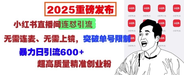 2025重磅发布：小红书直播间连怼引流，无需连麦、无需上镜，突破单号限制，暴力日引流600+ - 小毅网创-小毅网创