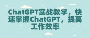 ChatGPT实战教学，快速掌握ChatGPT，提高工作效率-小毅网创