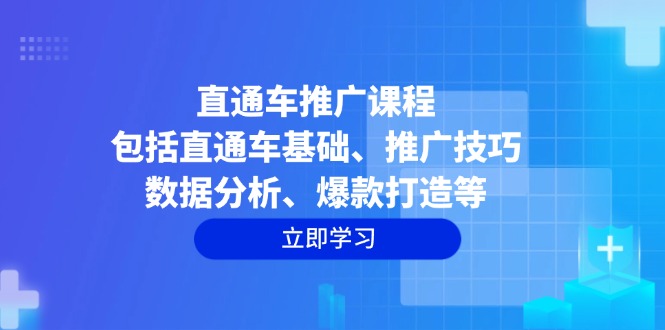 直通车推广课程：包括直通车基础、推广技巧、数据分析、爆款打造等 - 小毅网创-小毅网创
