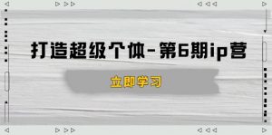打造 超级个体-第6期ip营：商业认知,产品设计,成交演练,解决知识变现难题-小毅网创