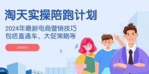 淘天实操陪跑计划，2024年最新电商营销技巧，包括直通车、大促策略等-小毅网创