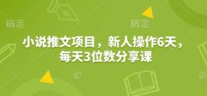 小说推文项目，新人操作6天，每天3位数分享课-小毅网创