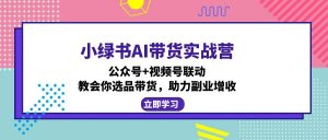 小绿书AI带货实战营：公众号+视频号联动，教会你选品带货，助力副业增收-小毅网创