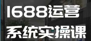 1688高阶运营系统实操课,快速掌握1688店铺运营的核心玩法-小毅网创