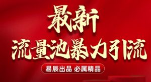 最新“流量池”无门槛暴力引流(全网首发)日引500+-小毅网创