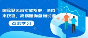 国际站运营实战系统：低成本获客，高质量询盘增长课-小毅网创