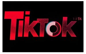 TikTok ads投流秘籍，涵盖tiktok整体投放思路，教你搭建测试计划-小毅网创