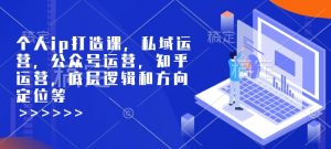 个人ip打造课，私域运营，公众号运营，知乎运营，底层逻辑和方向定位等-小毅网创