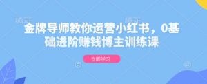 金牌导师教你运营小红书，0基础进阶赚钱博主训练课-小毅网创