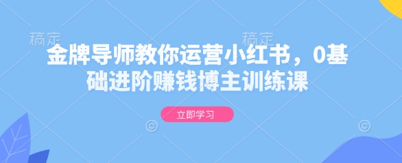 金牌导师教你运营小红书，0基础进阶赚钱博主训练课 - 小毅网创-小毅网创