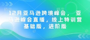 12月亚马逊跨境峰会， 亚马逊峰会直播，线上特训营基础版，进阶版-小毅网创