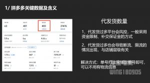 纪主任·拼多多年费会员(更新2025年1月)-小毅网创