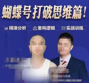 天诺老吴蝴蝶号50节线上课,蝴蝶号打破思维篇-小毅网创