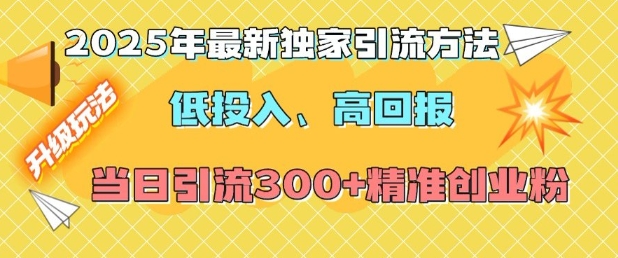 2025年最新独家引流方法，低投入高回报？当日引流300+精准创业粉 - 小毅网创-小毅网创