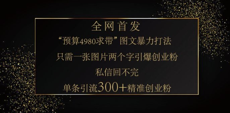 小红书神奇图片引流法，只需一张图，就能单条笔记凭借此方法，轻松引流 300 + 精准创业粉 - 小毅网创-小毅网创